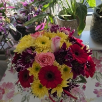 Zdjęcie od Irena F.